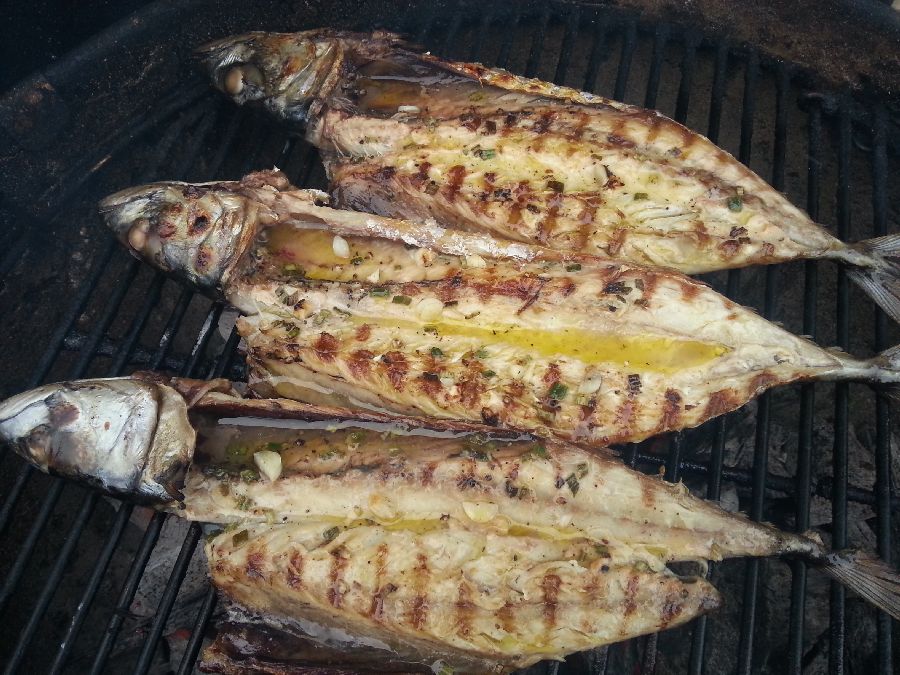 grilované makrely